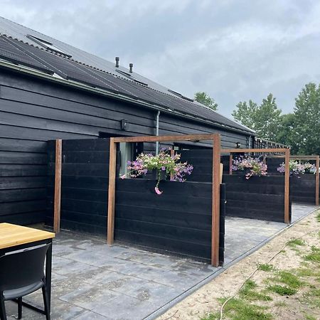 Cozy Holiday Home In Vrouwenpolder Close To The Beach Экстерьер фото