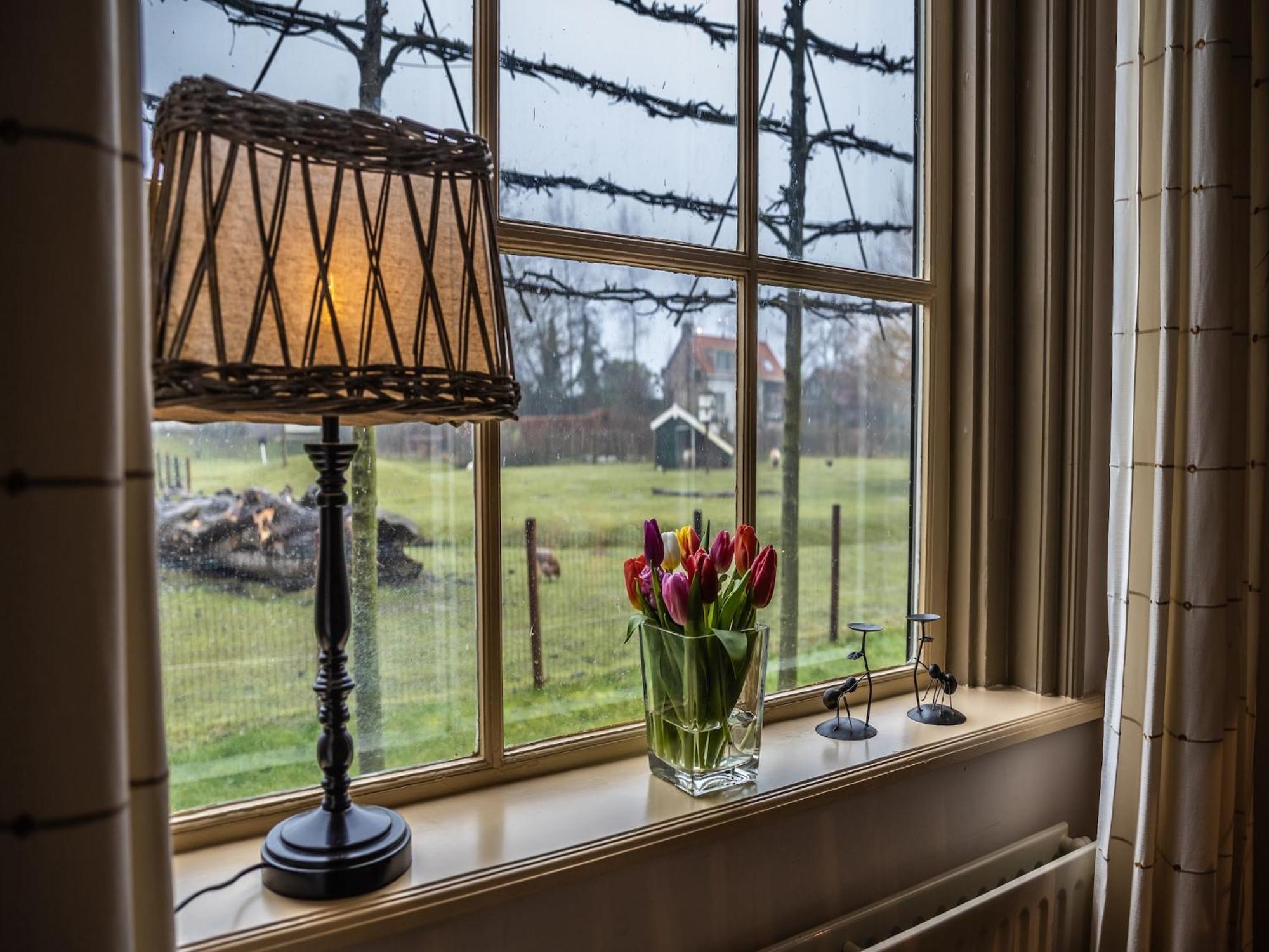Cozy Holiday Home In Vrouwenpolder Close To The Beach Экстерьер фото